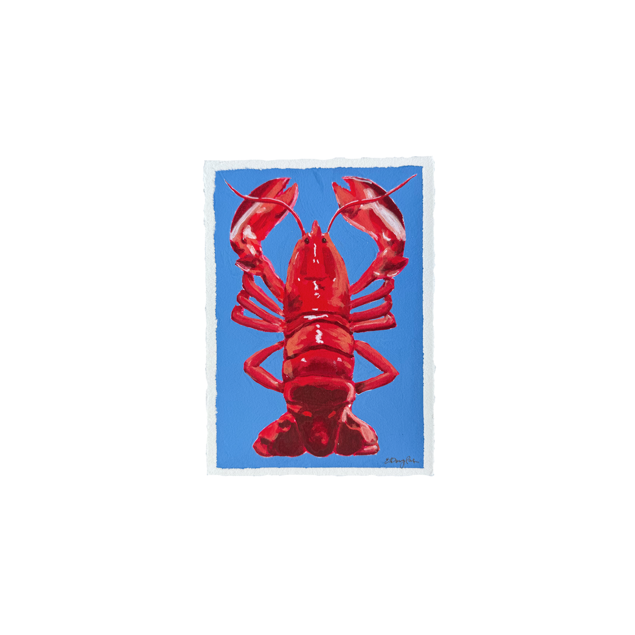 Lobster Study